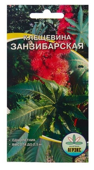 Семена Цветов Клещевина Занзибарская  2 шт