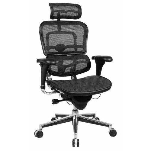 Эргономичное кресло Comfort Seating Ergohuman Standart, черный
