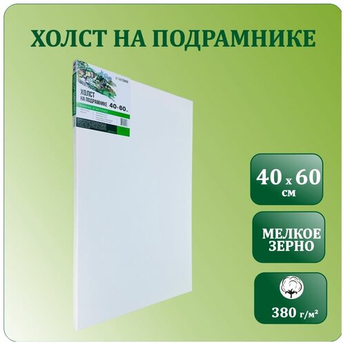 Холст на подрамнике 40х60 см, Хоббитания, хлопок 380 гр/м2, холст для рисования акриловыми и масляными красками, модульный подрамник, грунт акриловый