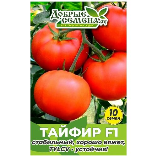 Семена томата Тайфир F1 - 10 шт - Добрые Семена. ру