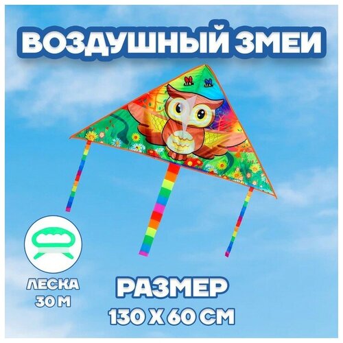 Воздушный змей «Сова»