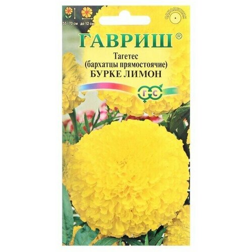 Семена цветов Гавриш Бархатцы прямые (Тагетес) Бурке Лимон, 0,3 г 12 упаковок