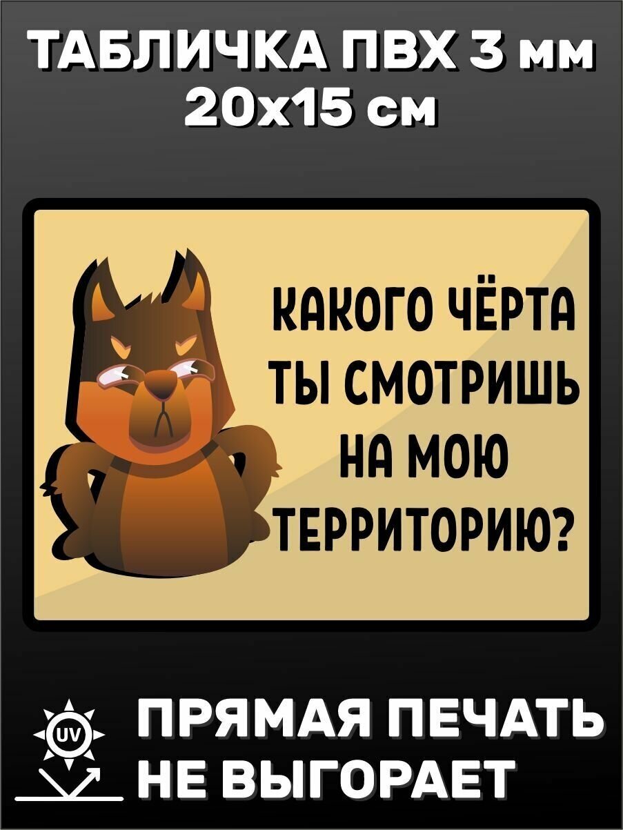 Табличка информационная прикольная Осторожно злая собака 20х15 см