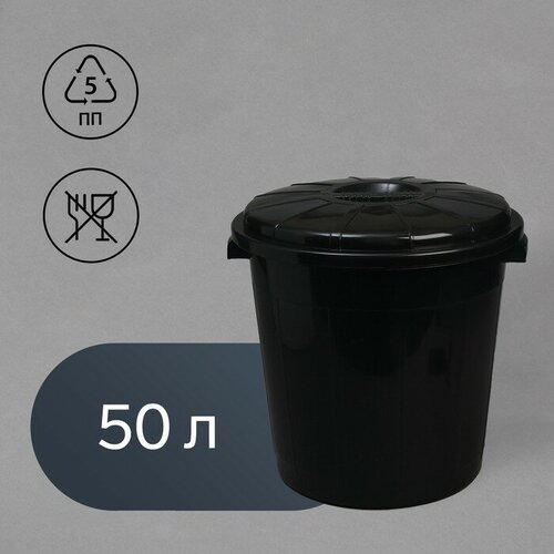Бак хозяйственно-бытовой 50 л с крышкой чёрный 3123₽