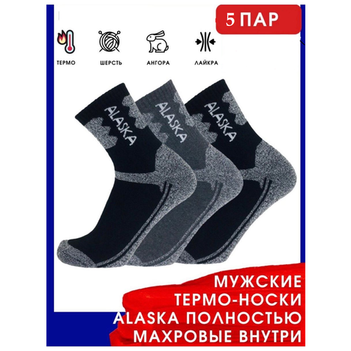 Мужские носки Alaska, 5 пар, классические, на 23 февраля, махровые, размер 41-47, черный