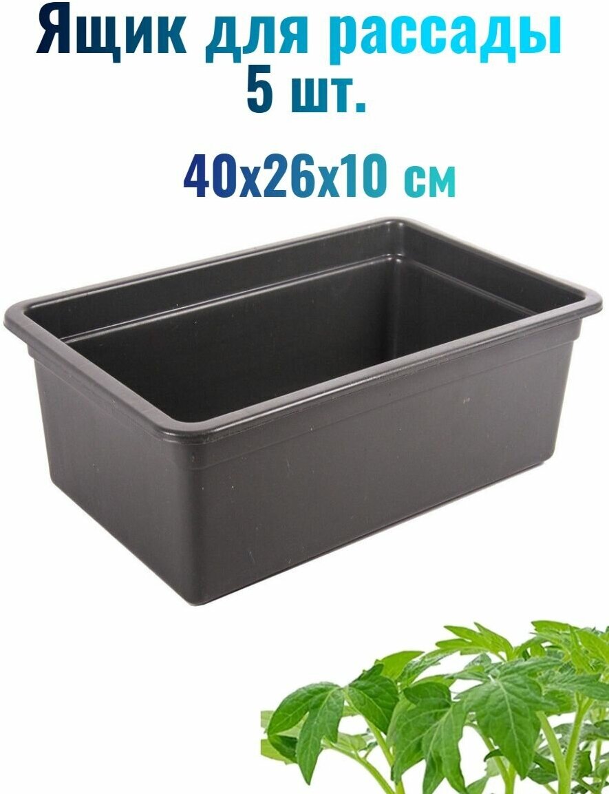 Ящик для рассады Урожай-4, размер 40х26х10 см, пластик, 5 шт. Удобен при транспортировке растений. Легкий, не занимает много места.