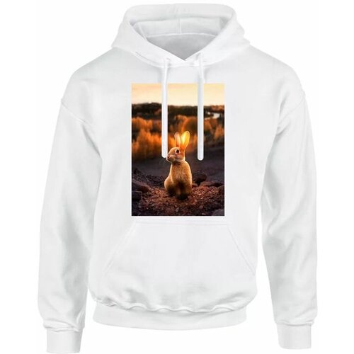 фото Толстовка год кролика №14, 70, 11xl goodbrelok