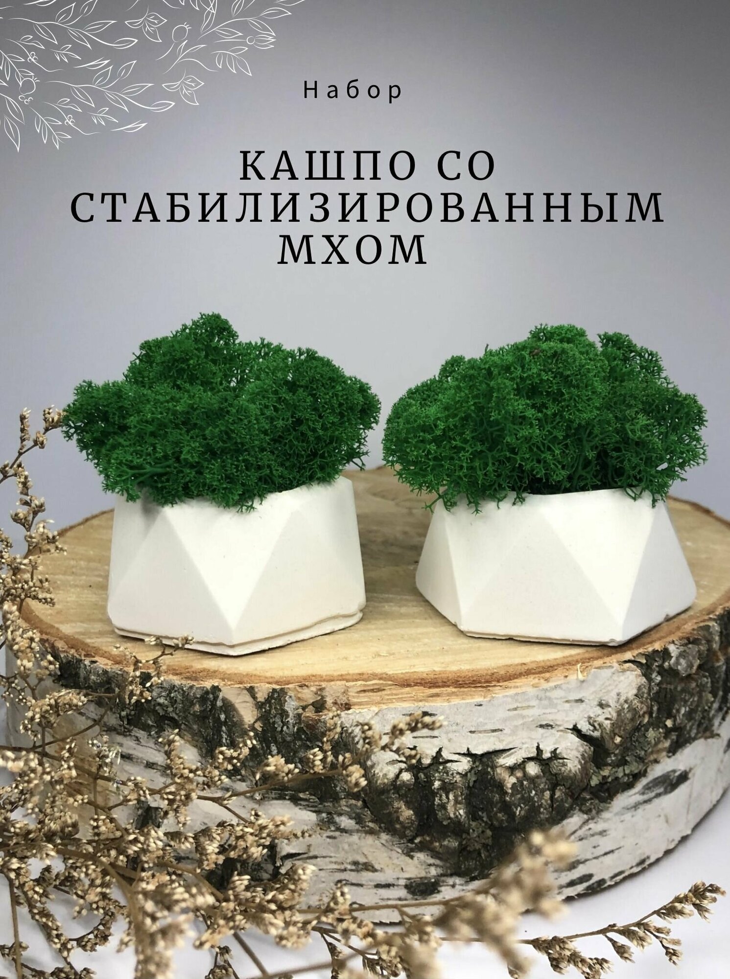 Кашпо со стабилизированным мхом 2 шт, зеленый живой ягель, из гипс, для декора дома, настольное украшение