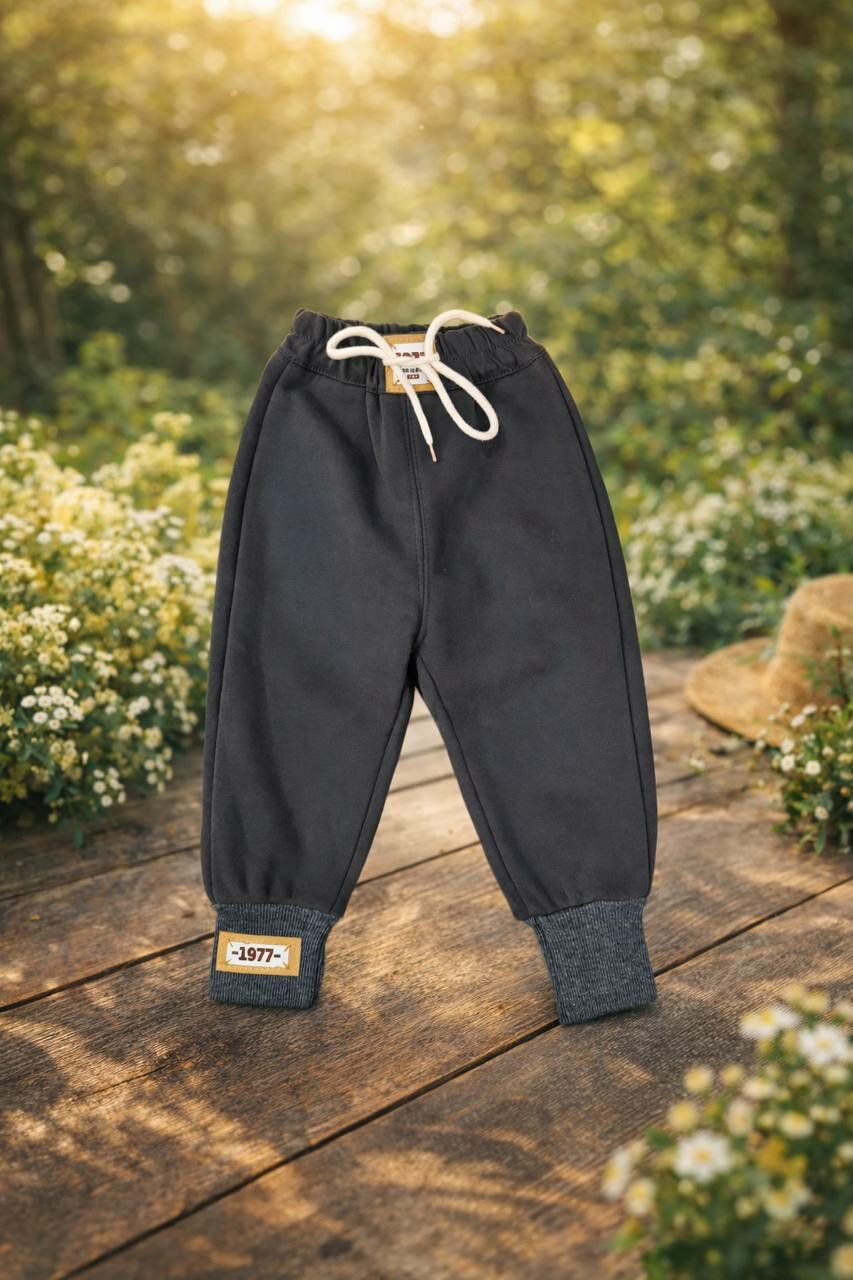 Брюки спортивные 86