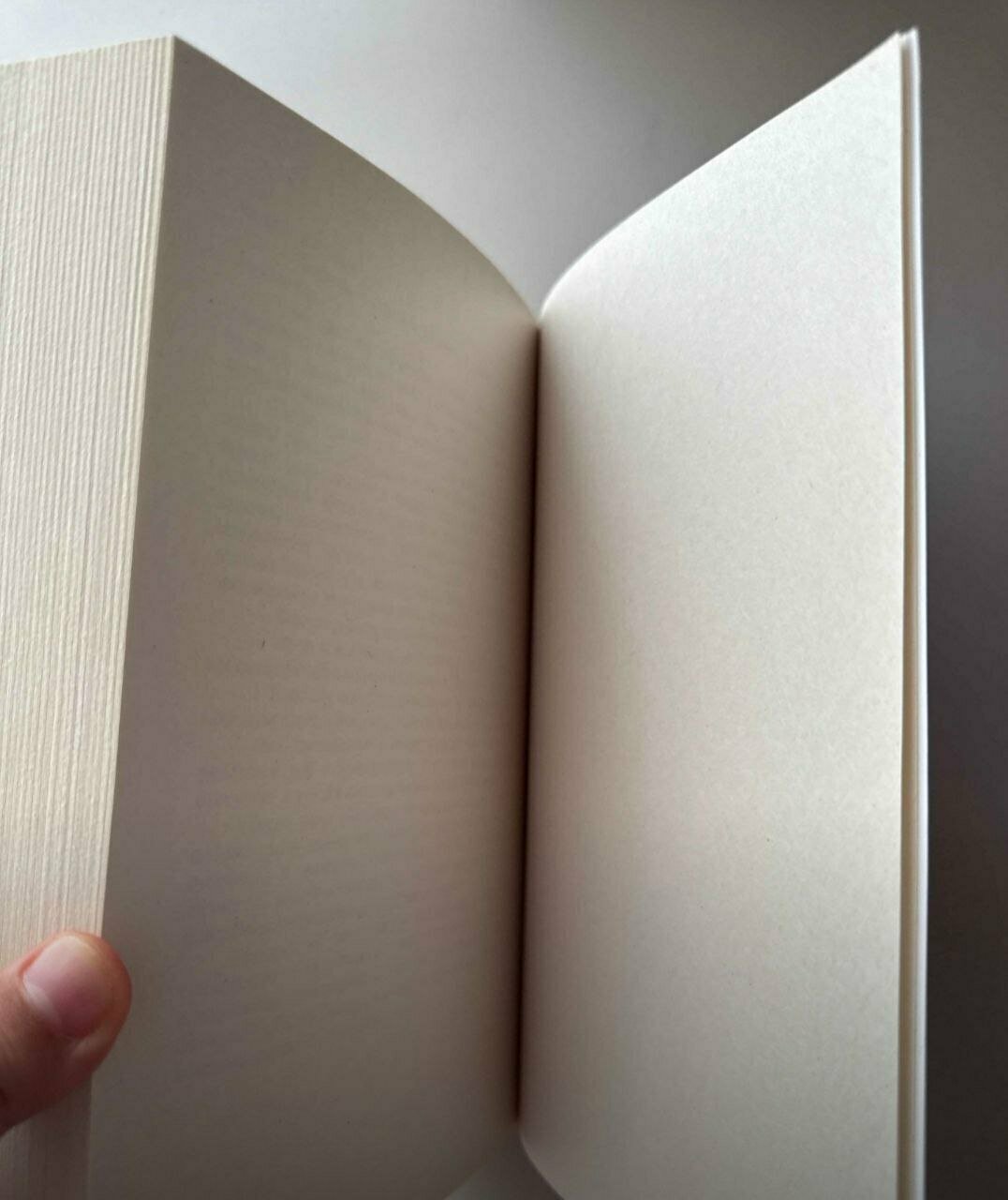 Автором книги «Мастер Маргарита» является Михаил Афанасьвич Булгаков — фото 1