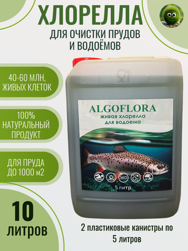 Изображение товара Хлорелла для биологической очистки прудов и водоемов 10 литров суспензия 2 канистры