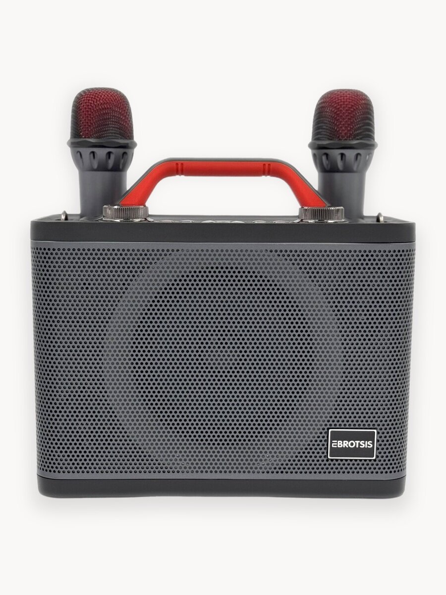 Караоке система с двумя микрофонами