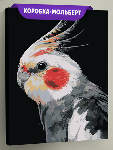 Изображение товара Картина по номерам на холсте с подрамником 40х50 "Попугай корелла серый"