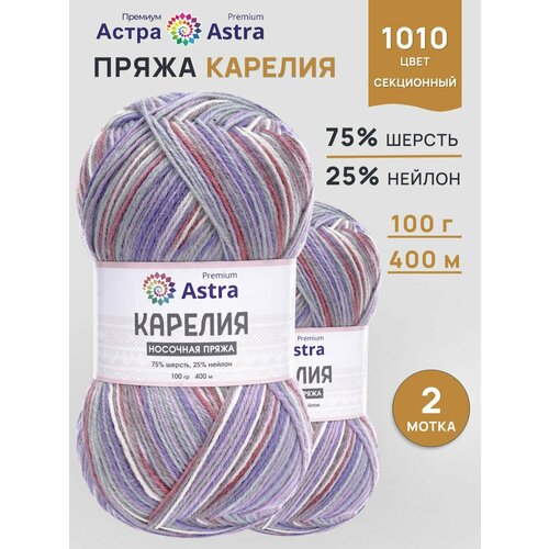 Пряжа для вязания носочная Карелия, 100 г, 400 м, цвет №1010, 2 мотка Astra Premium