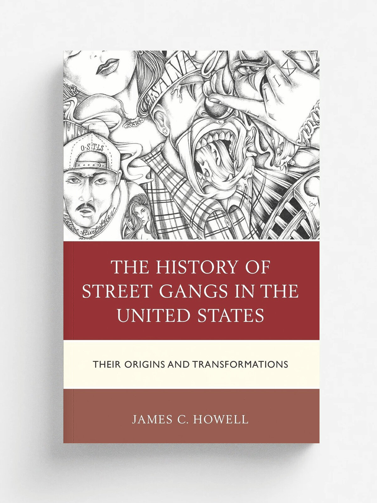 The History of Street Gangs in the United States