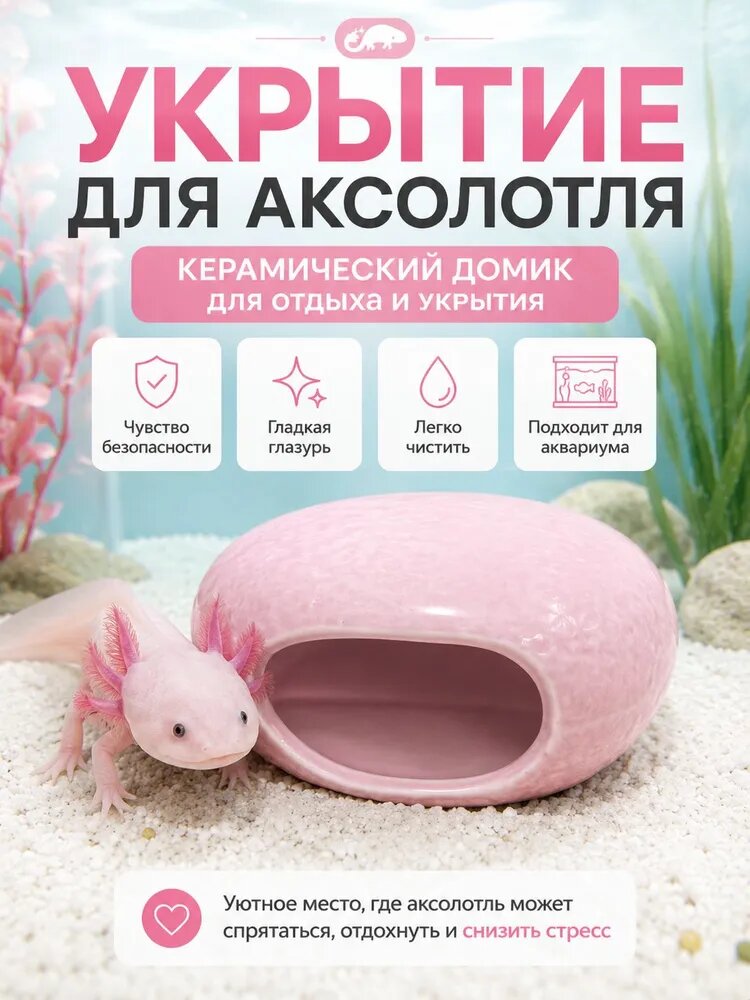 Аквариум для аксолотля