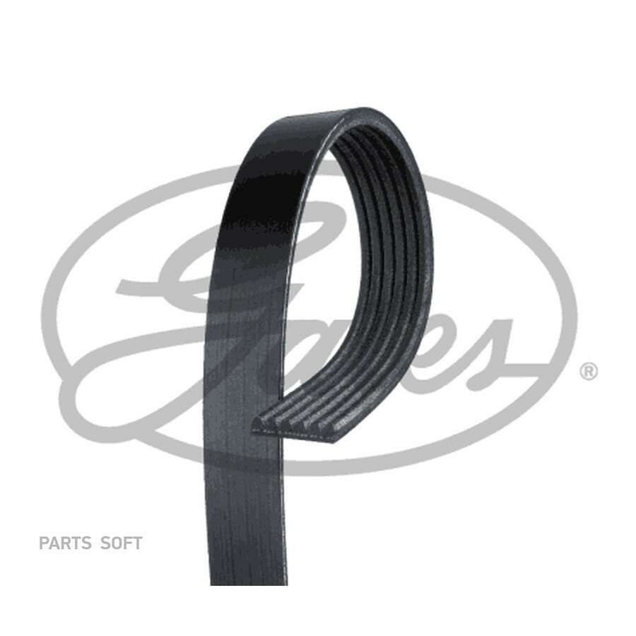 Ремень поликлиновой GATES 6PK2448 XF Mercedes