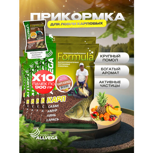 Прикормка для рыбалки ALLVEGA Formula карп карась 10 пачек по 0.9 кг