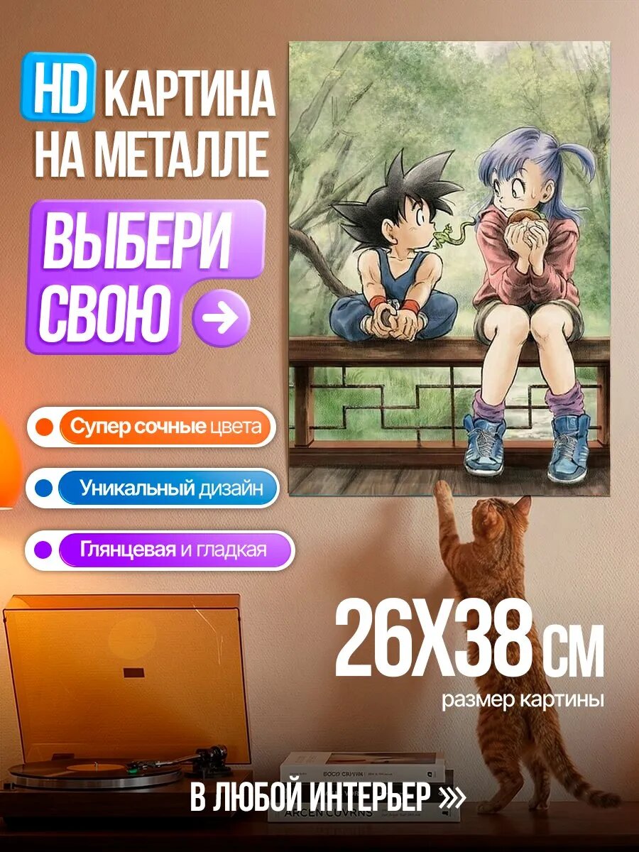 Картина на HD металле Сон Гоку и Бульма