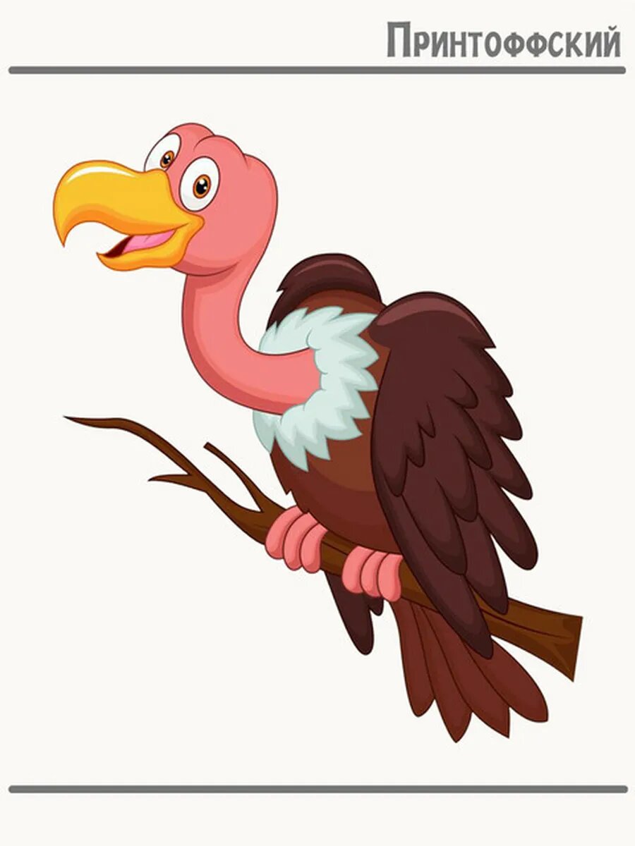 Термонаклейка для одежды и аксессуаров DTF-печать птица гриф bird vulture