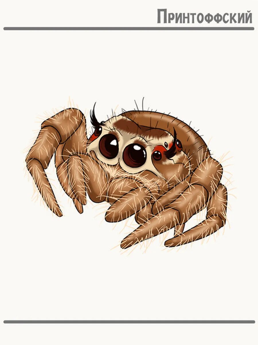 Термонаклейка для одежды и аксессуаров DTF-печать милый паук cute spider