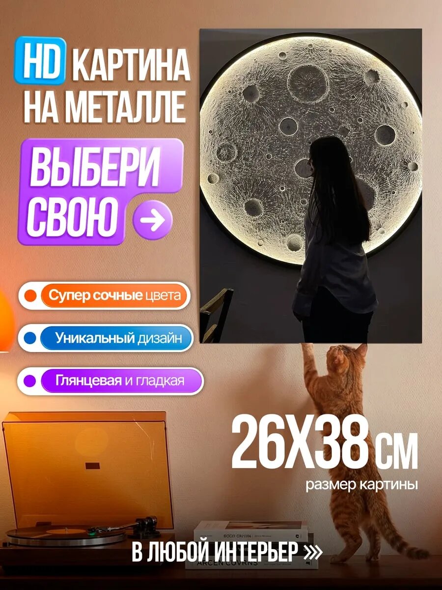 Картина на HD металле Девушка смотрит на луну