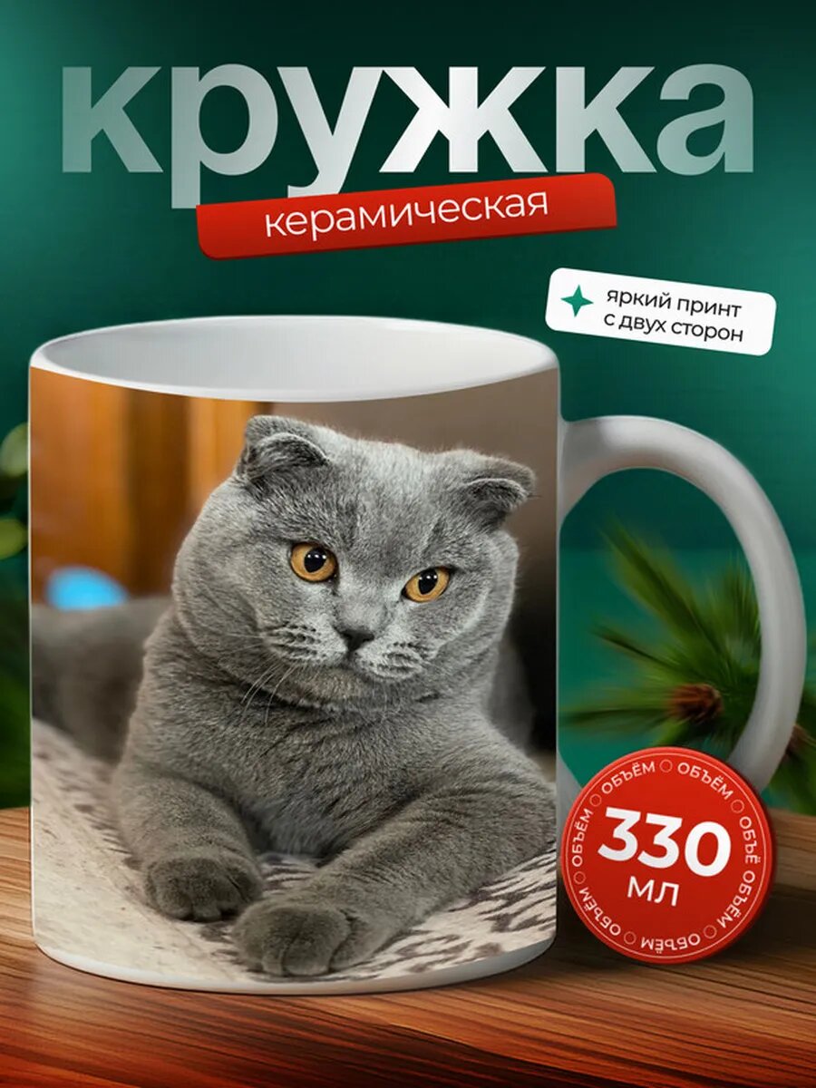 Кружка Шотландская прямоухая кошка 19,