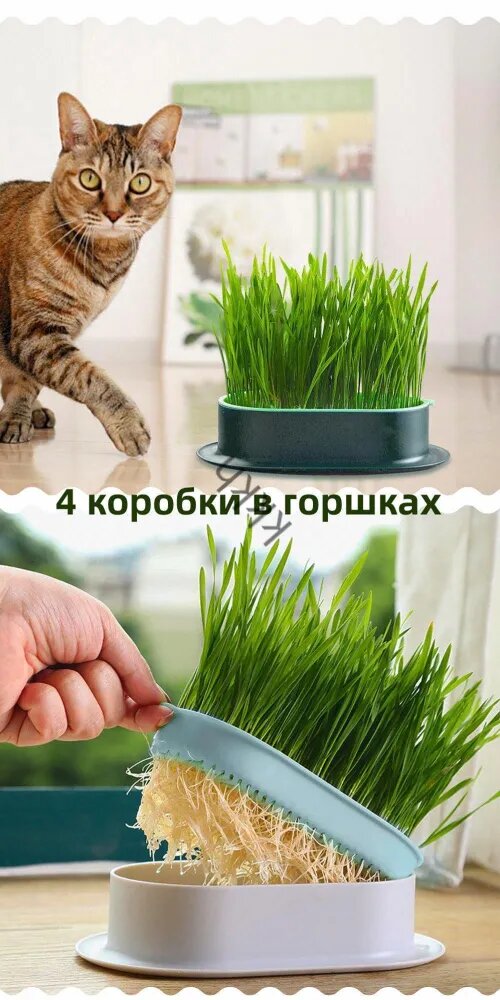 Кормушка для птиц и грызунов