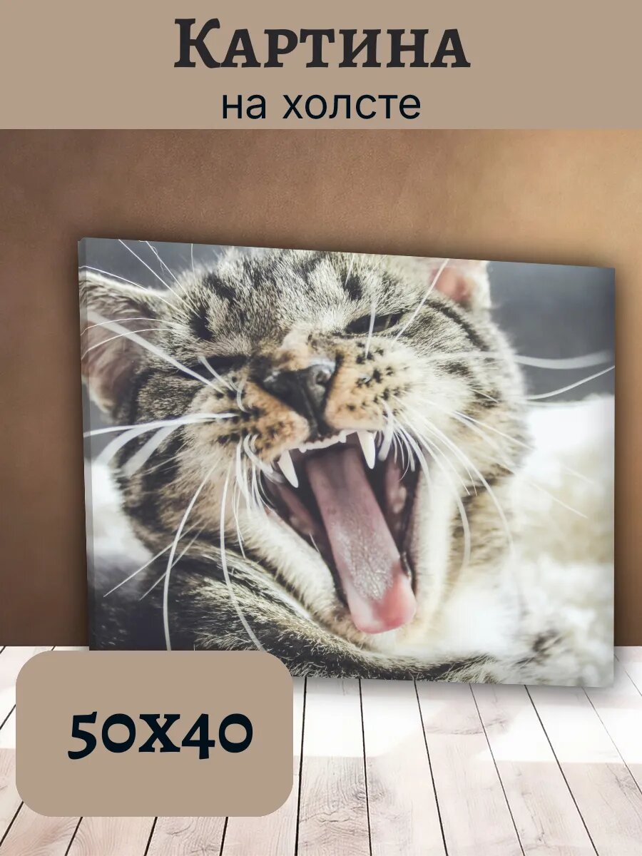 Картина Кот Кошка Cat 40x50 зевая полосатый табби портрет