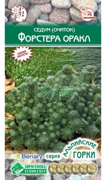 Семена Седум "Форстера оракл" Многолетник "Евросемена"