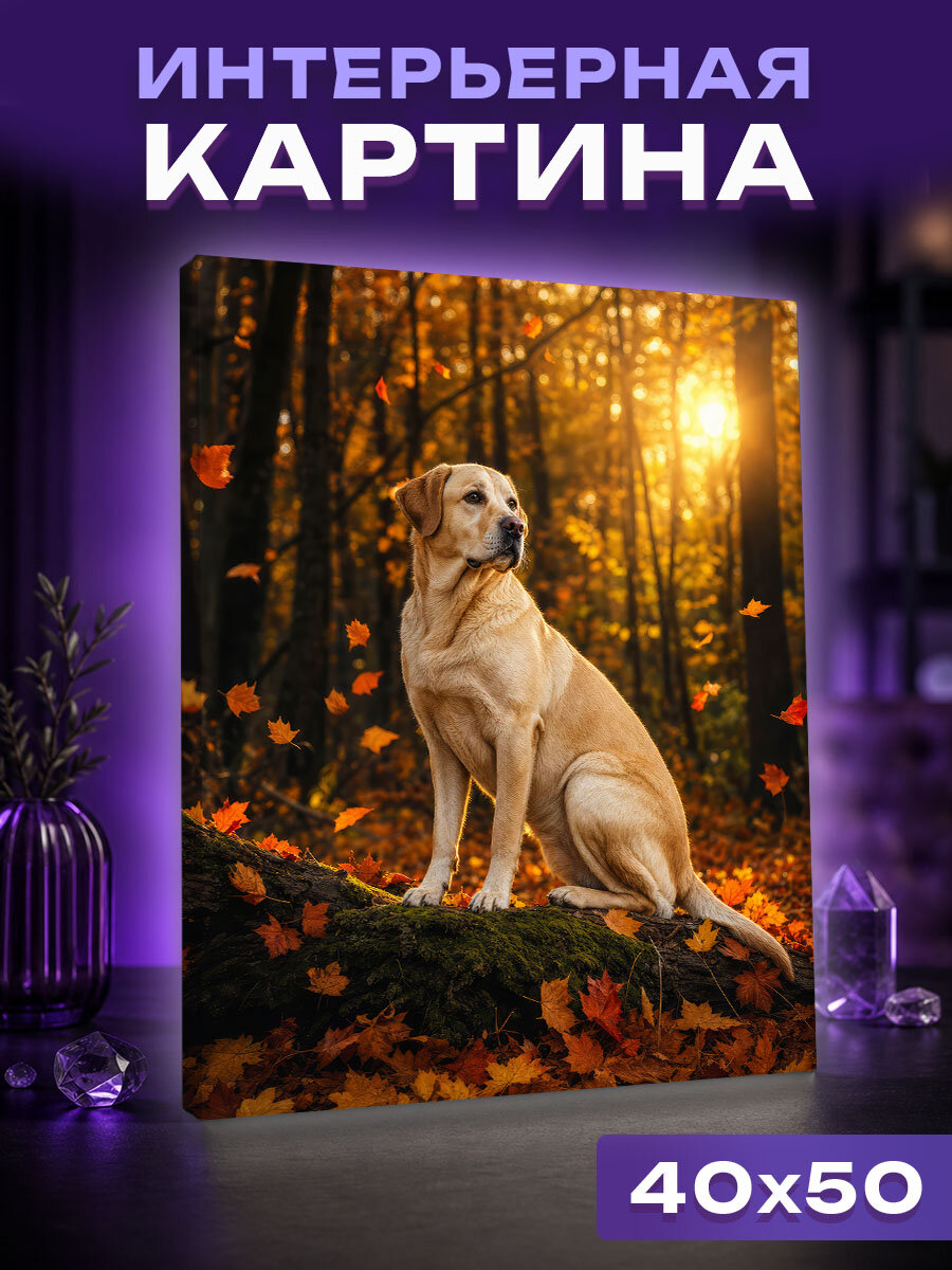 Интерьерная картина палевый лабрадор в осеннем лесу