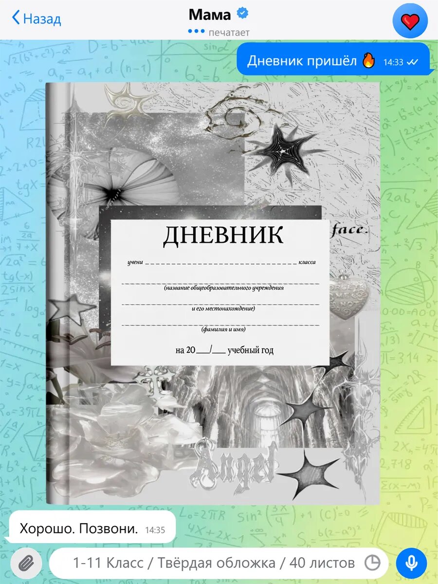 Школьный дневник с принтом y2k pinterest