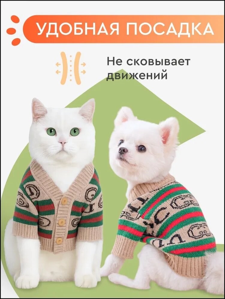 Одежда для животных — фото 1