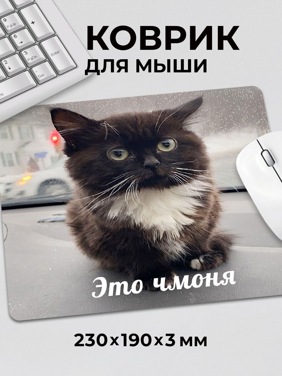 Коврик для мышки с приколом мем котик Это чмоня маленький