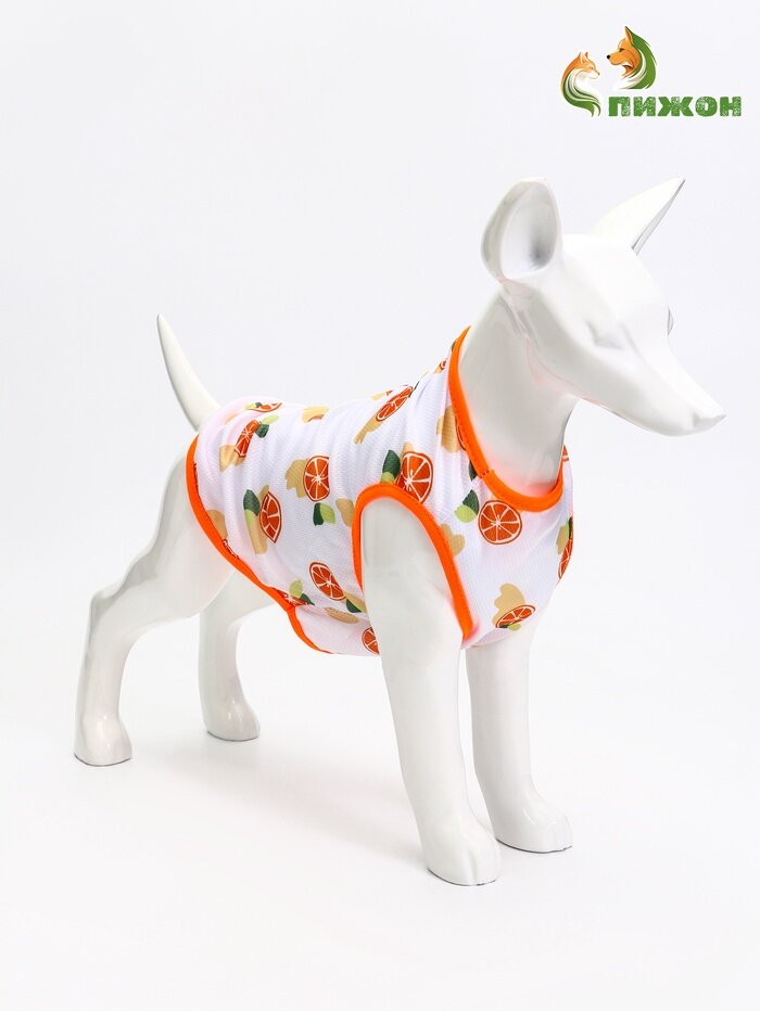 Футболка для животных «Апельсинка», размер L, ДС 34, ОГ 46 см