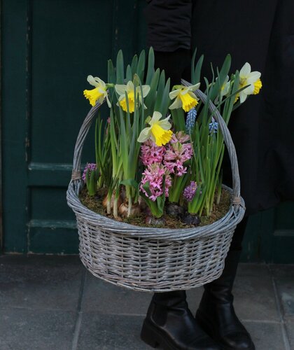 Изображение товара Весенний сад в большой корзине с весенними цветами/ подарок на 8 марта / первоцветы