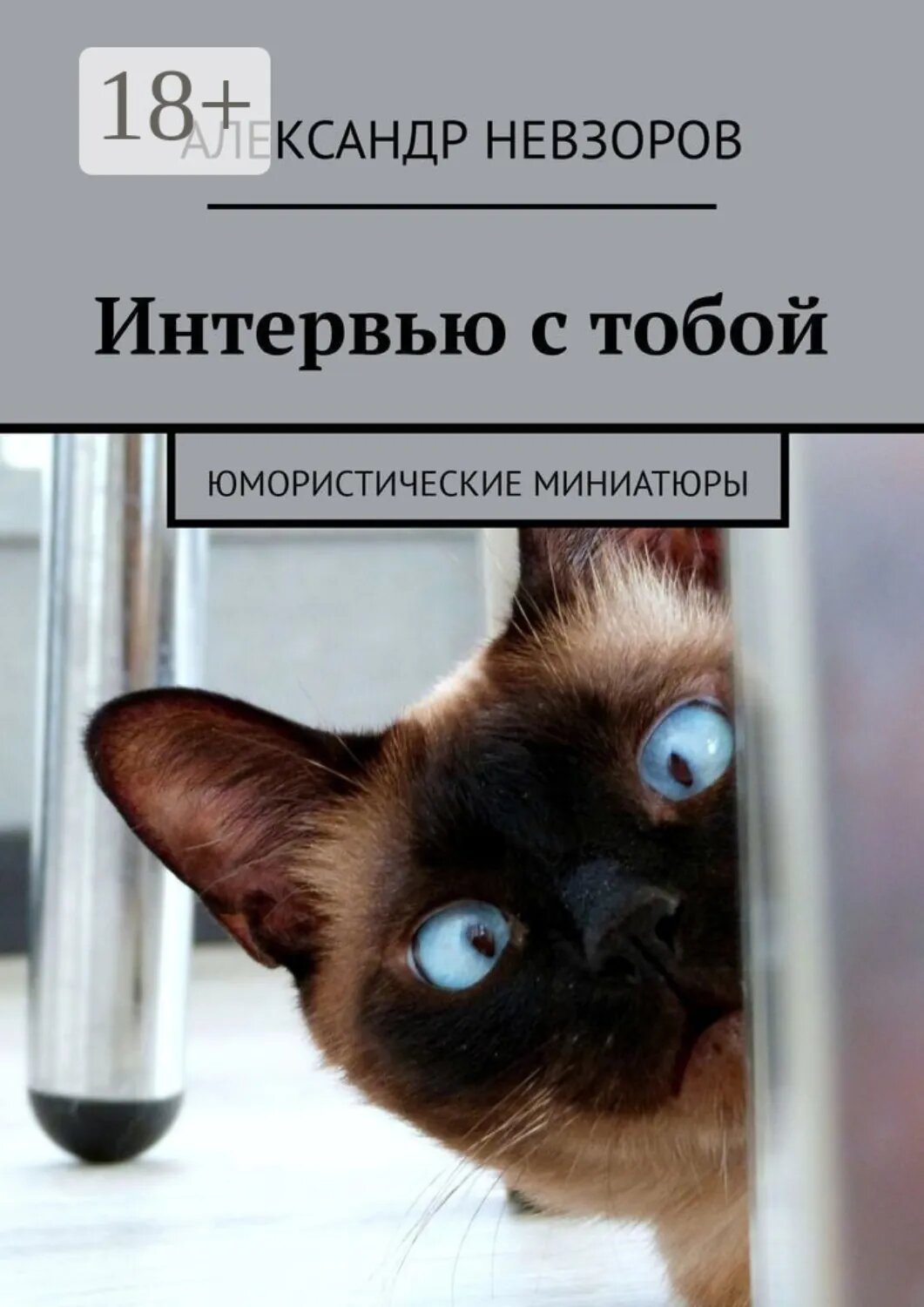 Интервью с тобой. Юмористические миниатюры [Цифровая книга]