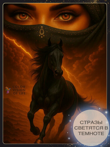 Изображение товара Алмазная мозаика COLOR VISION OF LIFE "Черный конь в пустыне", полная выкладка, 40х50 см