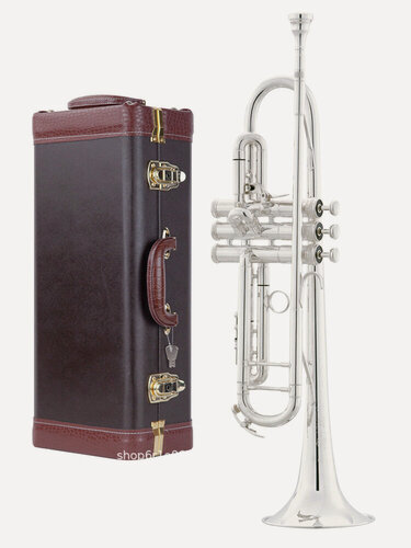 Изображение товара Труба Bach LT198GS-99 си-бемоль Полностью посеребренная, гипоаллергенная, долговечный блеск