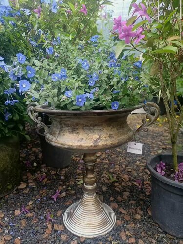 Изображение товара Персонализированная подставка для цветочных горшков из кованого железа, украшение сада, Золотой