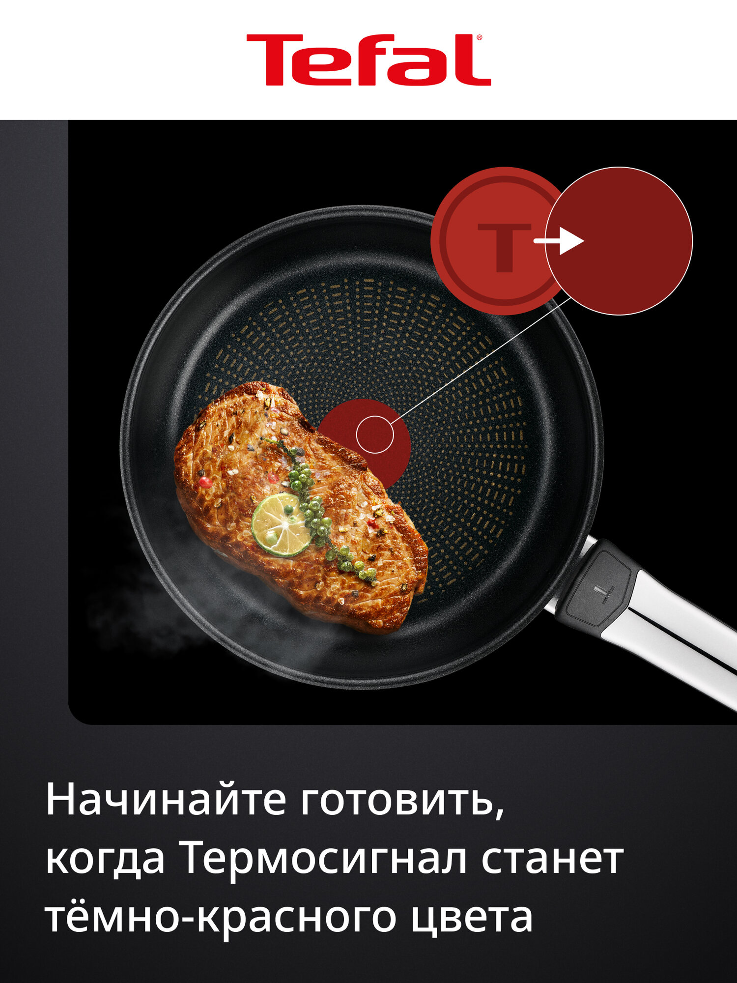 Сковорода Tefal Emotion+ 20 см, антипригарная, из нержавеющей стали, для индукционной плиты, глубокая — фото 1