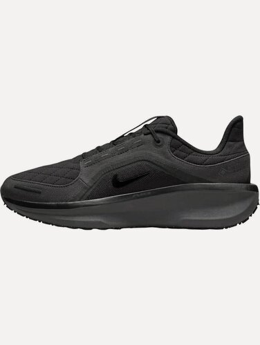 Изображение товара Кроссовки Air Winflo 11 GTX