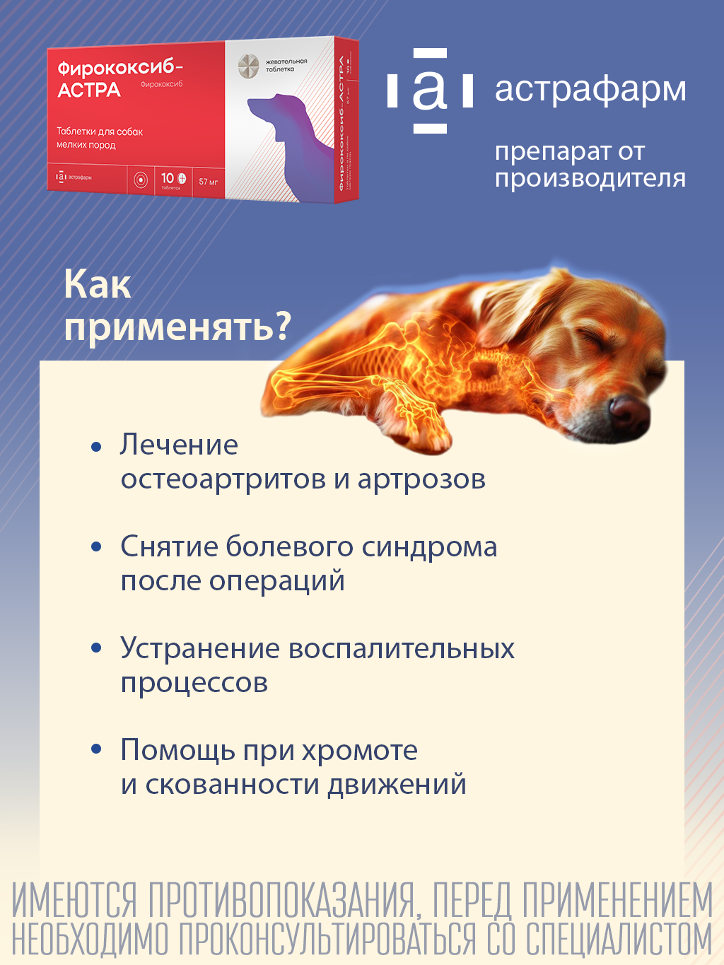 Фирококсиб-АСТРА® противовоспалительные таблетки для собак мелких пород 10 шт — фото 1