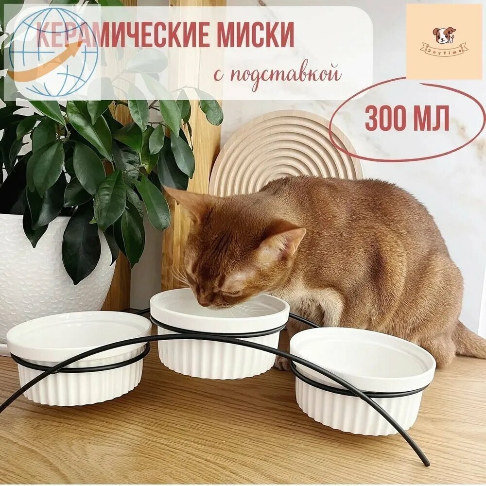 Миска для животных