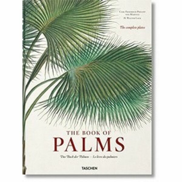 The Book of Palms