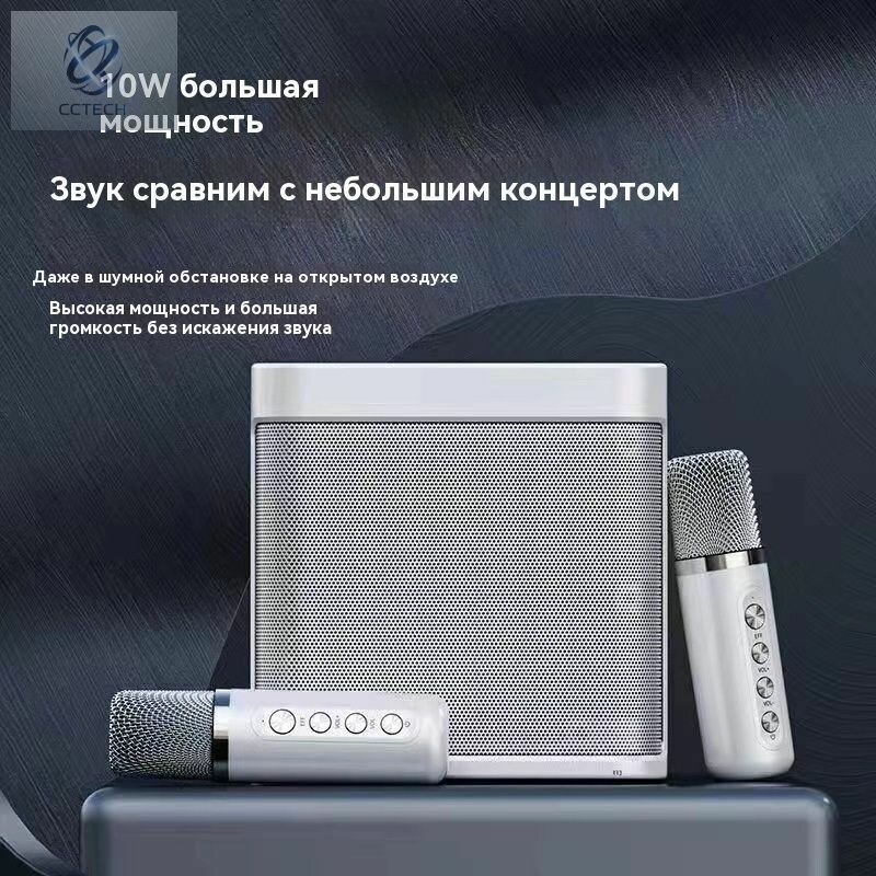 Караоке система Vita Musica с двумя беспроводными микрофонами