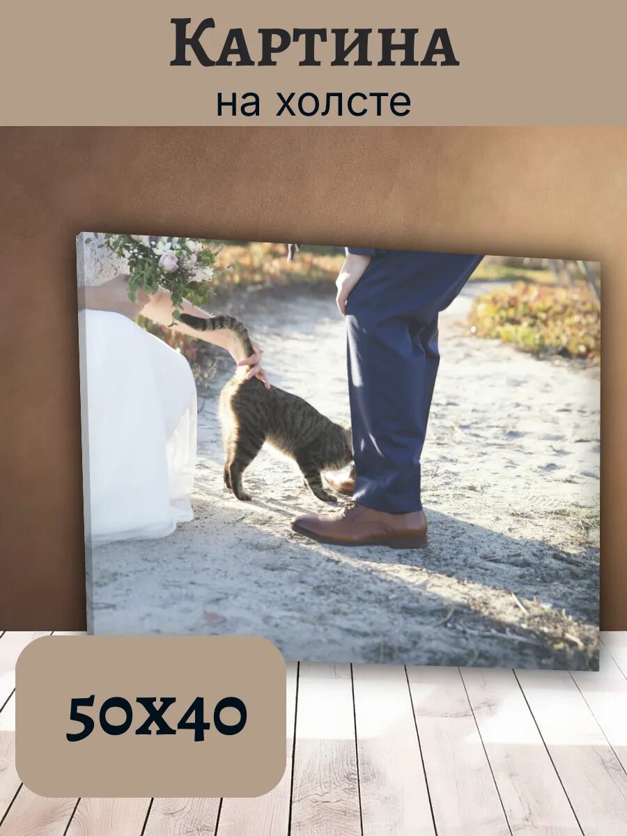 Картина Кот Кошка Cat 40x50 свадебная невеста жених