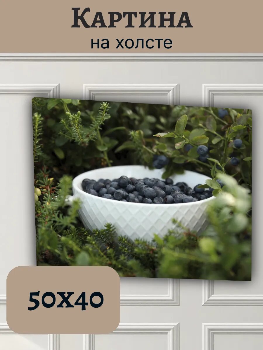 Картина Финляндия Finland 40x50 черника лес
