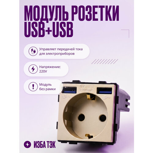 фото Модуль розетки с usb+usb на 16a с заземлением и шторками, для рамки, золотого цвета izba tech