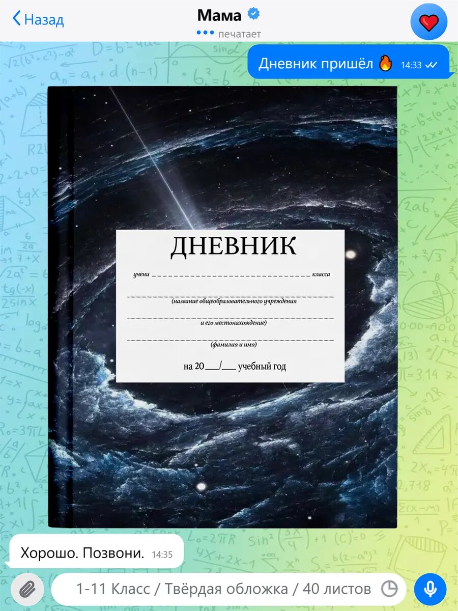 Школьный дневник с принтом Роблокс